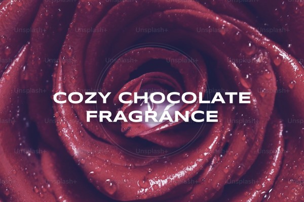 cozy chocolate fragrance
