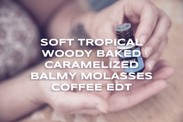 soft tropical woody baked caramelized balmy molasses coffee edt